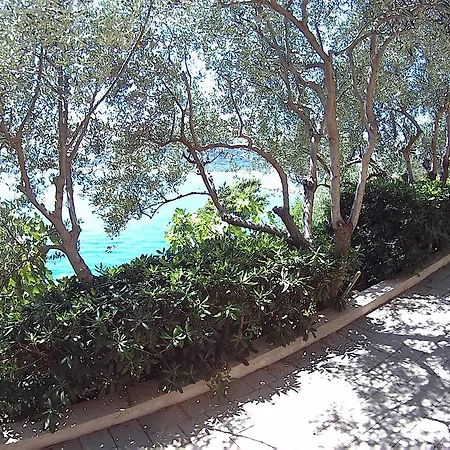 Διαμέρισμα Peric